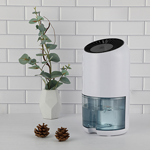 ��ʵҵ��(�й���)���Ź�˾����